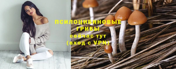 мдпв Арсеньев