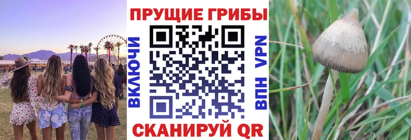 Псилоцибиновые грибы мухоморы  Мышкин 